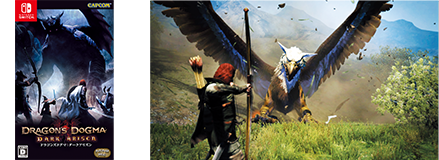 ドラゴンズドグマ：ダークアリズン